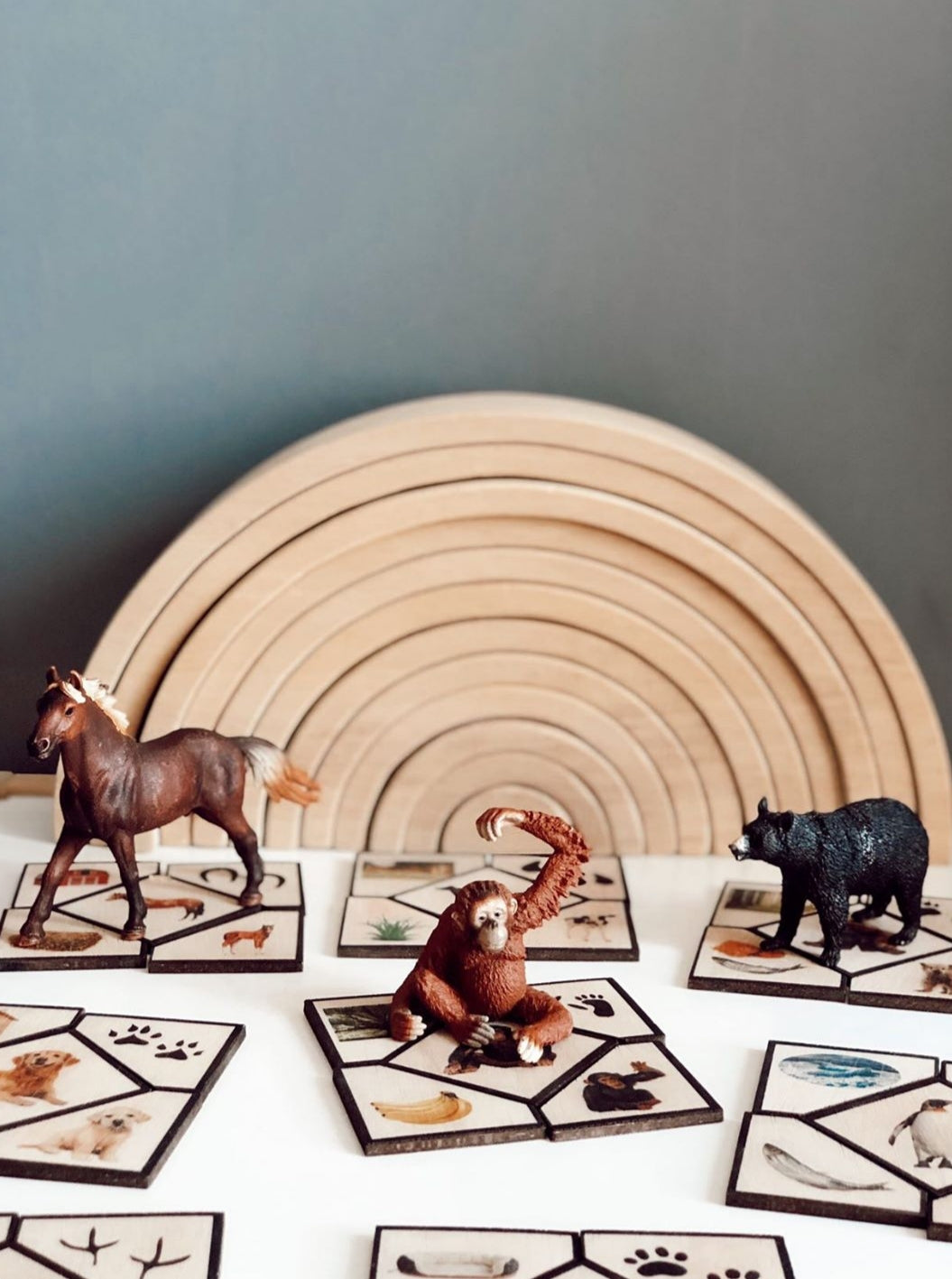 Hayvanları Öğreniyorum Puzzle