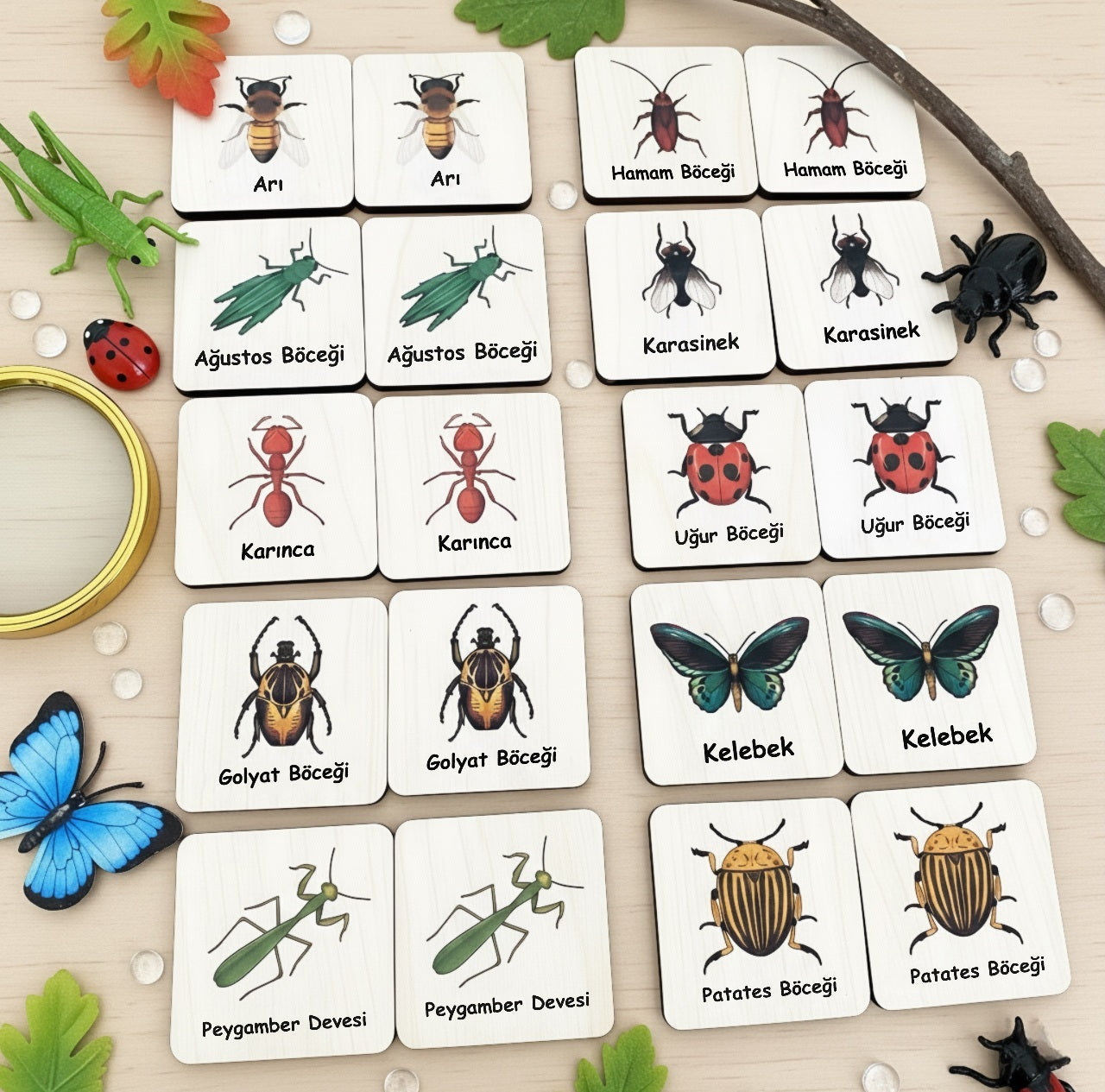 Böcekler Eşleştirme / Hafıza Kartları