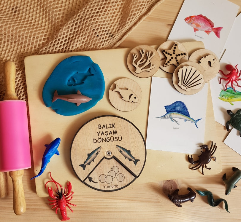 Balık Yaşam Döngüsü