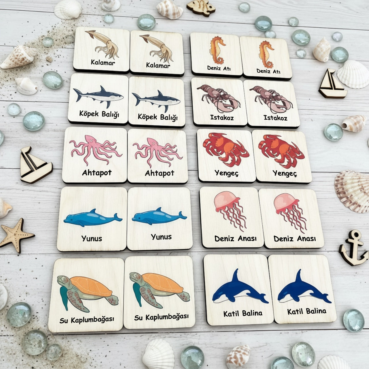 Okyanus Hayvanları Eşleştirme / Hafıza Kartları