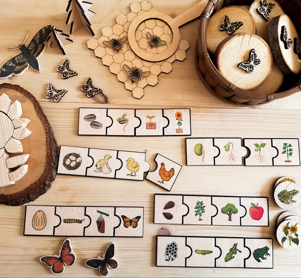 Yaşam Döngüsü Puzzle