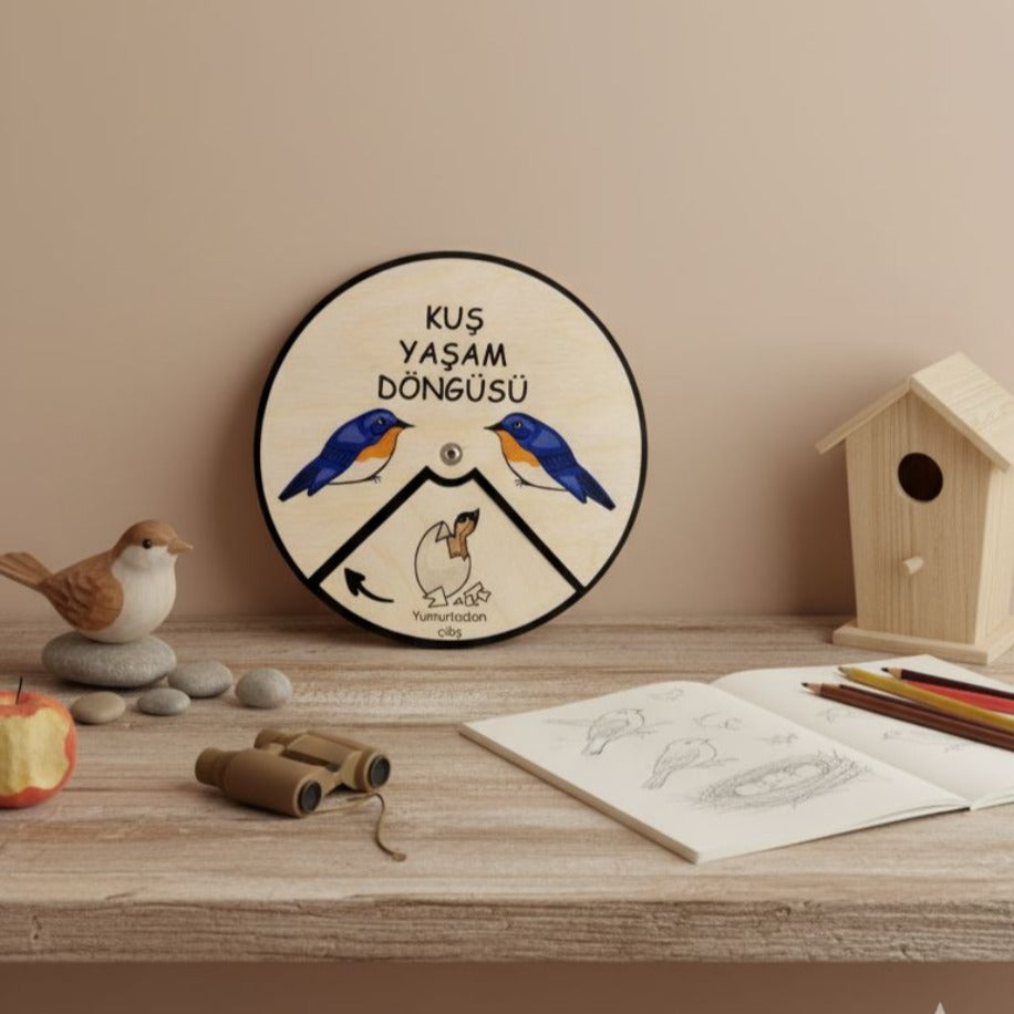 Kuş Yaşam Döngüsü