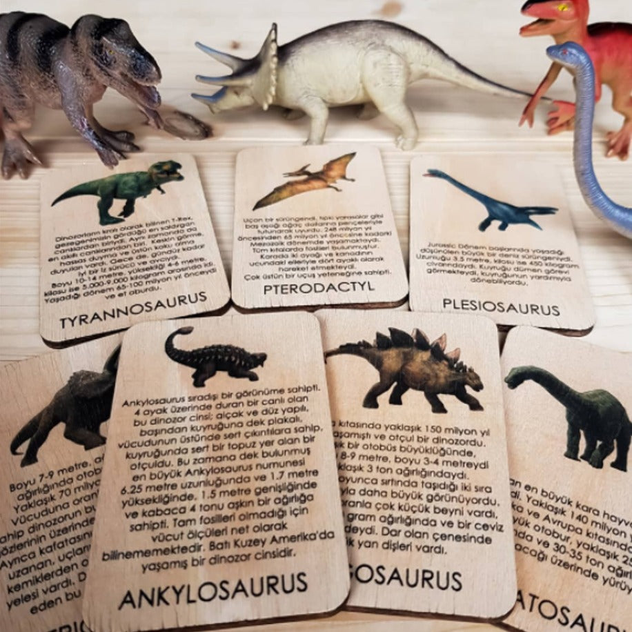 Dinozor Kartları