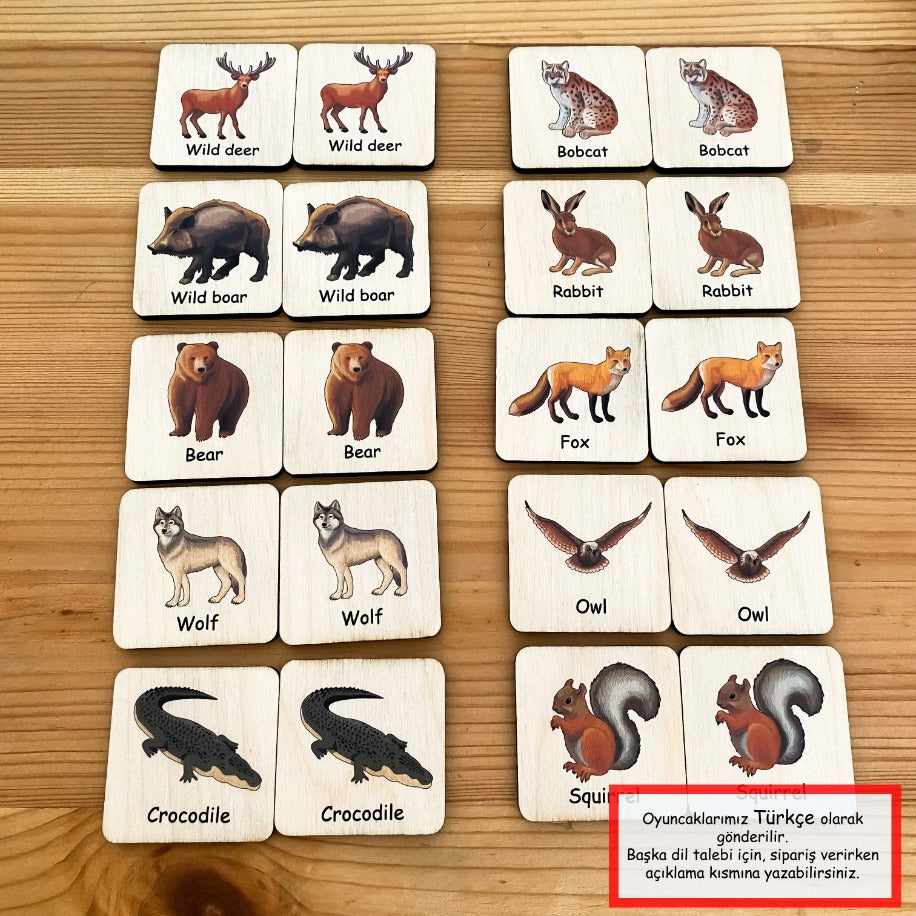 Orman Hayvanları Eşleştirme / Hafıza Kartları