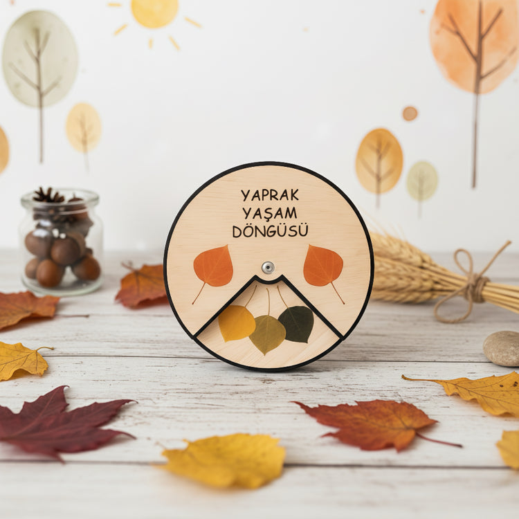 Yaprak Yaşam Döngüsü