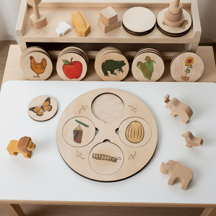 Yaşam Döngüsü Tablası