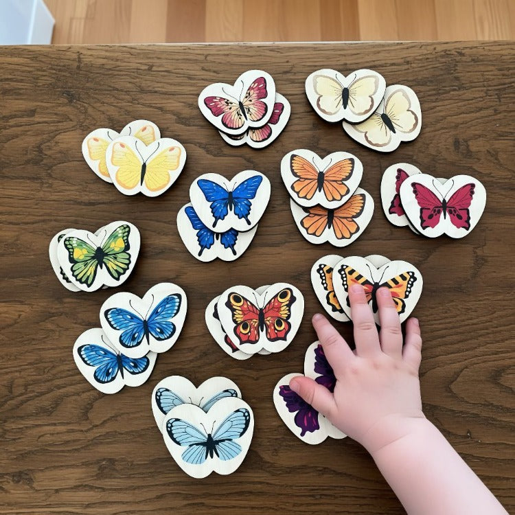 Kelebekler Eşleştirme / Hafıza Kartları