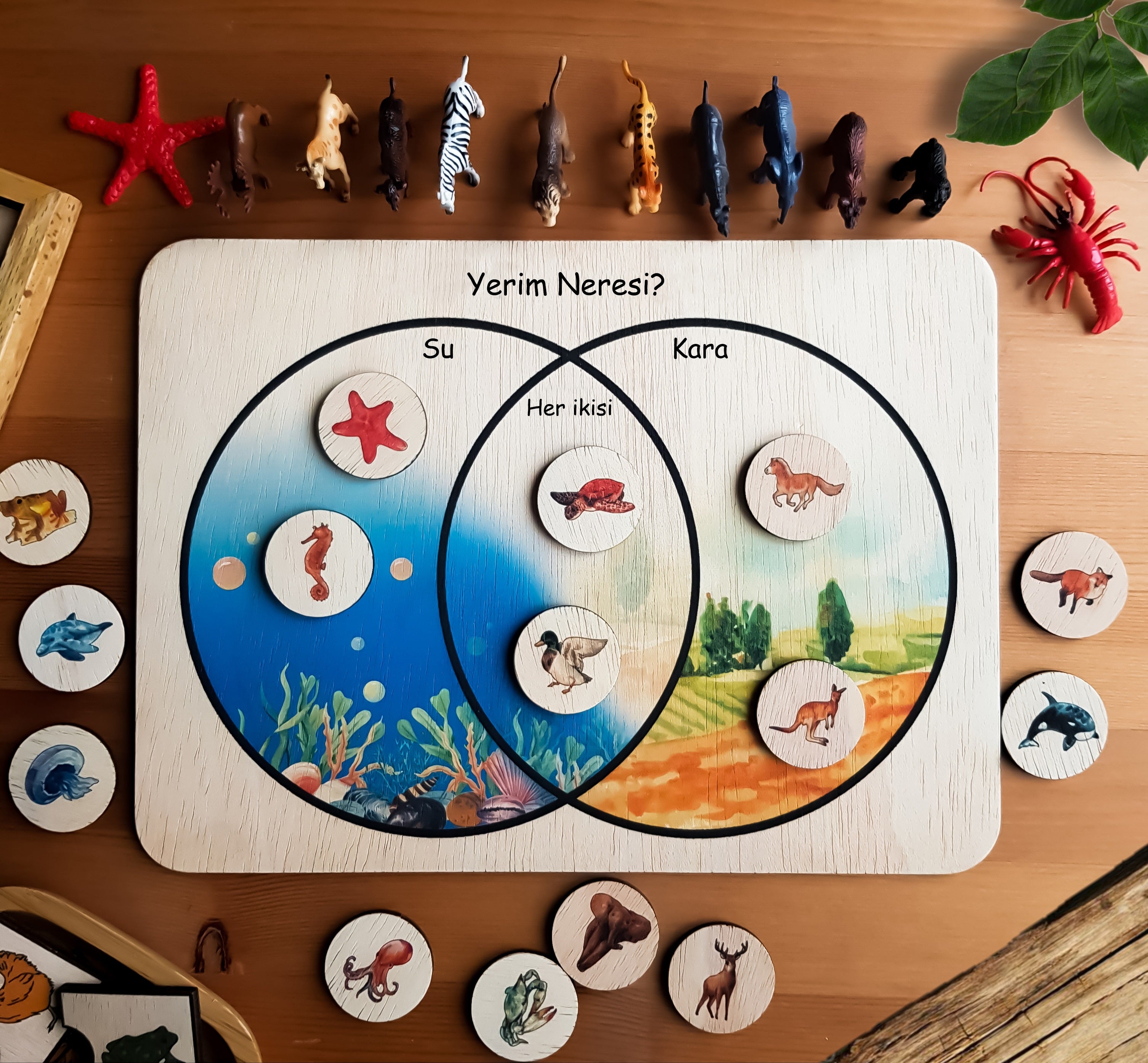 Yerim Neresi Hayvanlar